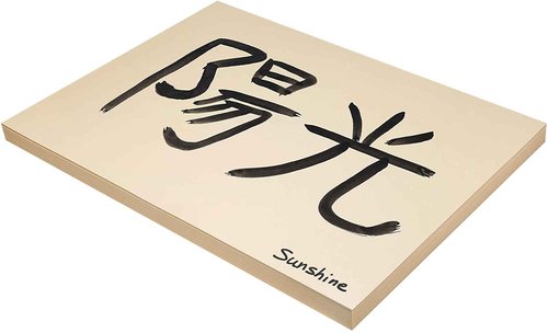 Pacon Medium Weight Tagboard, 18 x 24 Inches, 9 Pt, Manila, Pack of 100