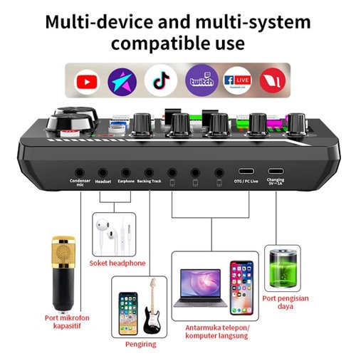 F998 Podcast Equipment Bundle for Tiktok and Youtube Vlog,Sound Board with Audio Interface,Condenser Karaoke Microphone,Streaming Podcast Starter Kit DJ Audio Mixer (F998+BM800 MIC)