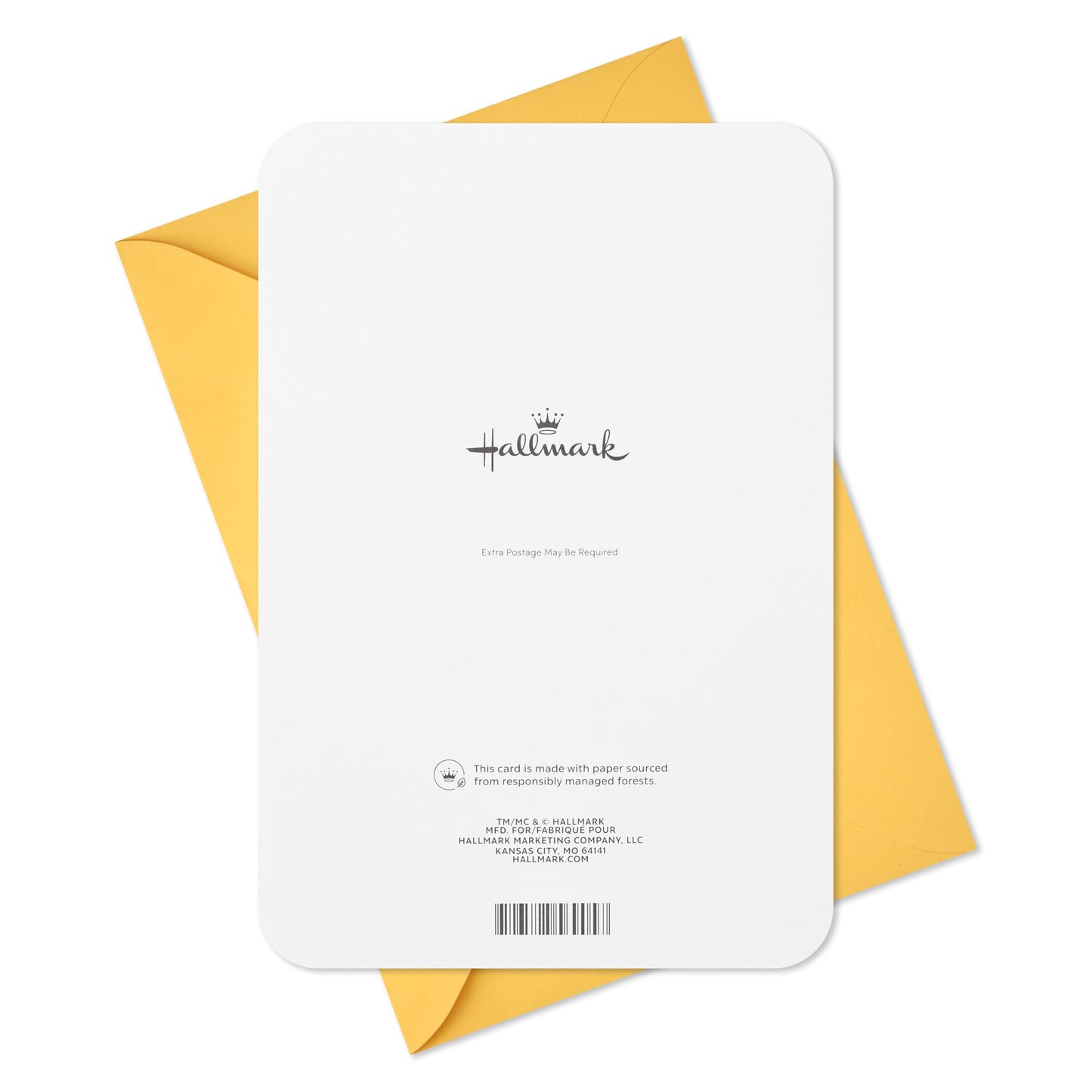 Hallmark 1st Birthday Card for Kids (Fuzzy Number)