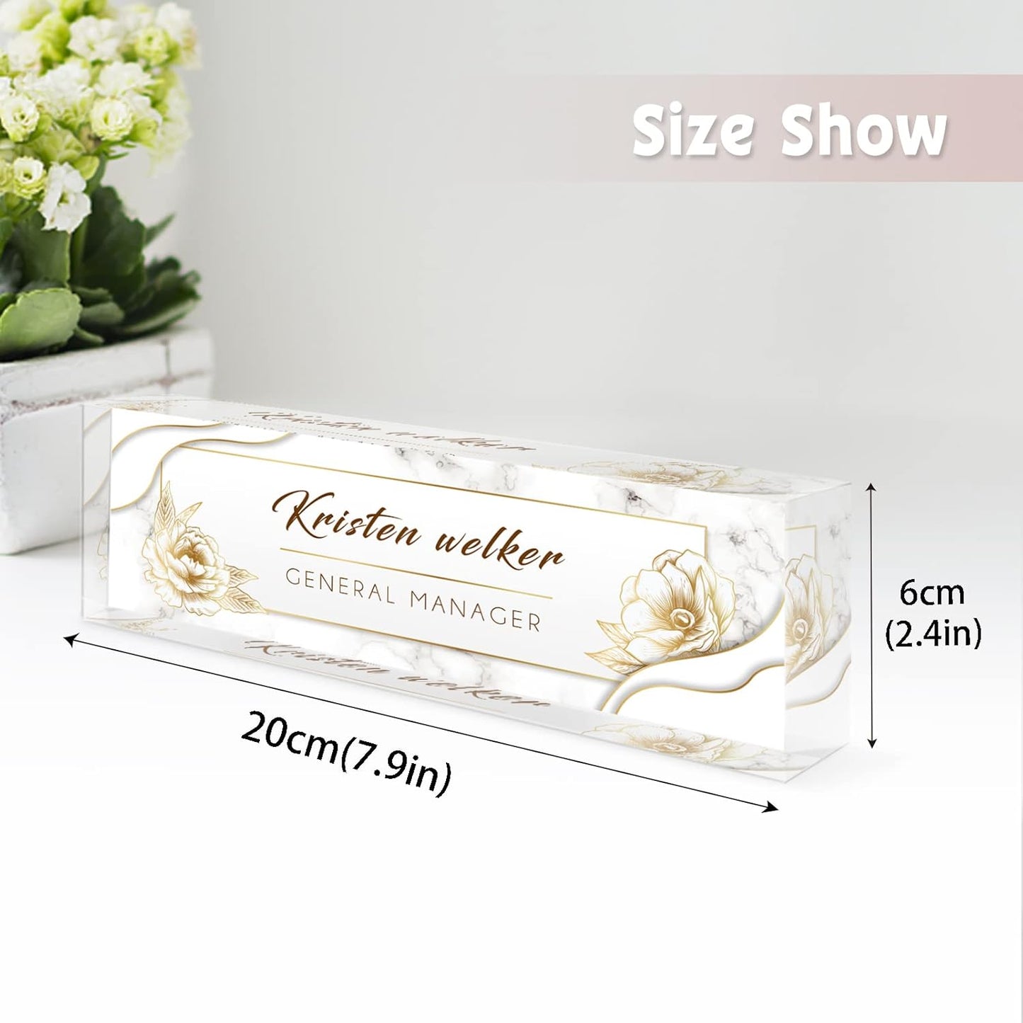 Skiennix Personalized Desk Name Plate - Unique Clear Acrylic Office Decor | Custom Gifts for Coworkers & Bosses