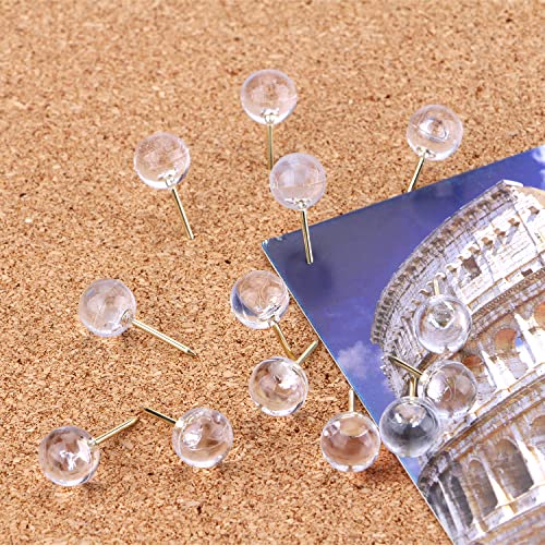 Yalis 100-Pack Push Pins 1/3 Inch Gold Steel Point Clear Head Map Tacks (T-gold)