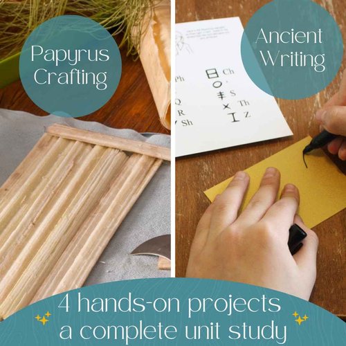 History Activity Kit ‘Phoenicia Unboxed’ Educational Kit, History Arts and Crafts Educator's Kit, Learning Resources for Classroom and Homeschool Curriculum. Hands-on unit study ancient world history.