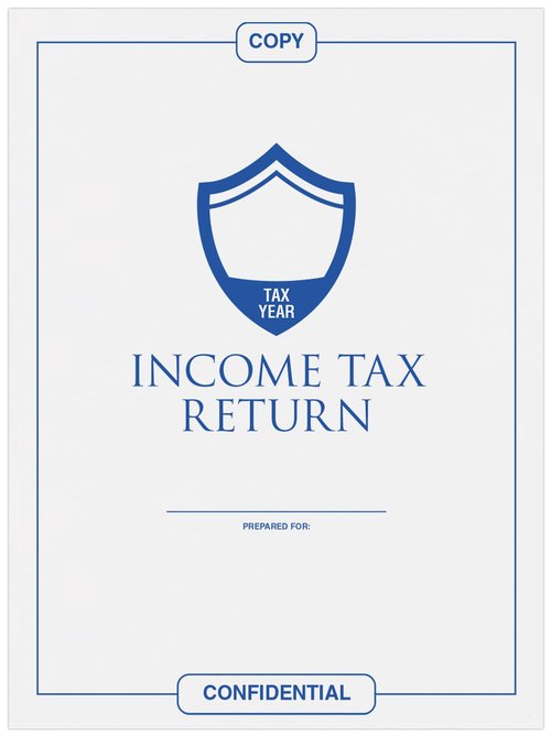 LUXPaper 9 x 12 Open End Envelopes | Income Tax Return | Bright White | 24lb. Text | 250 Qty