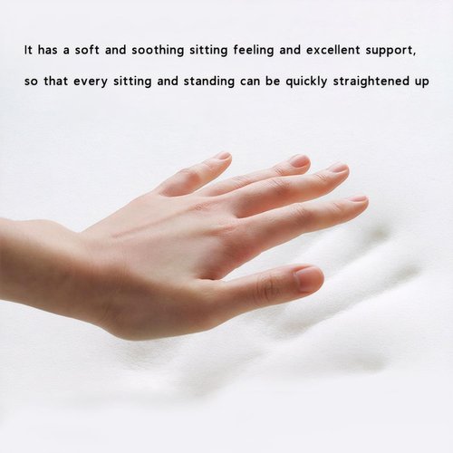 CHANGFENG Lumbar Ergonomic Support for Office Chair Back Lumbar Support for Computer, Gaming Chair Back Cushion for Back Pain Relief Improve Posture,and Work from Home, Patented (Gray)