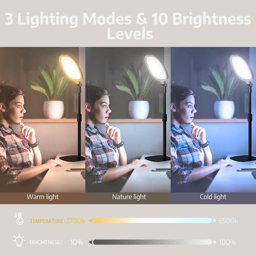 LitONES Desktop Video Conference Lighting - Adjustable Brightness & Color Temp | 2Pcs for Zoom Meetings & Work from Home