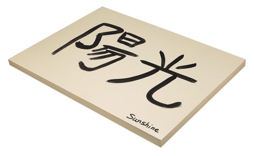 Pacon Medium Weight Tagboard, 18 x 24 Inches, 9 Pt, Manila, Pack of 100