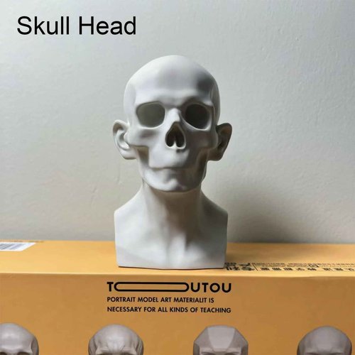 Generic 4 Pack Head Model for Drawing Reference, Artists Manikin, Skull Muscle Plane Heads Set, Color White, 13.2cm