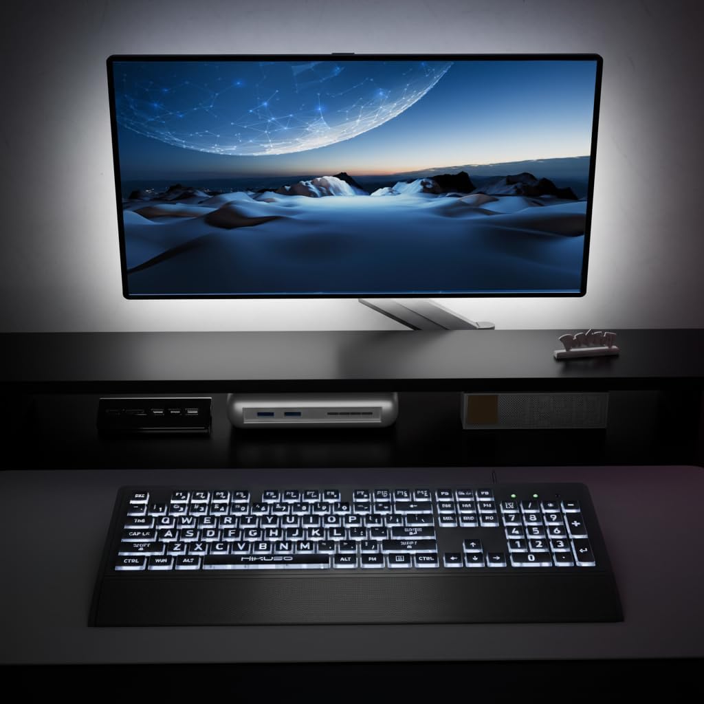 Skiennix Large Print Keyboard - High Contrast Black Keys with White Backlight | 104 Full Size for Low Vision
