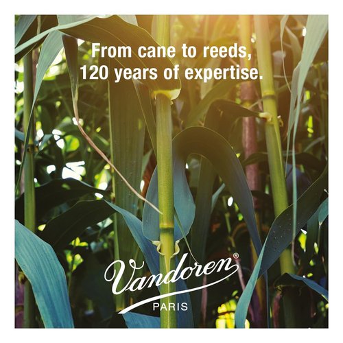 Vandoren SR243 Bari Sax Traditional Reeds Strength 3; Box of 5