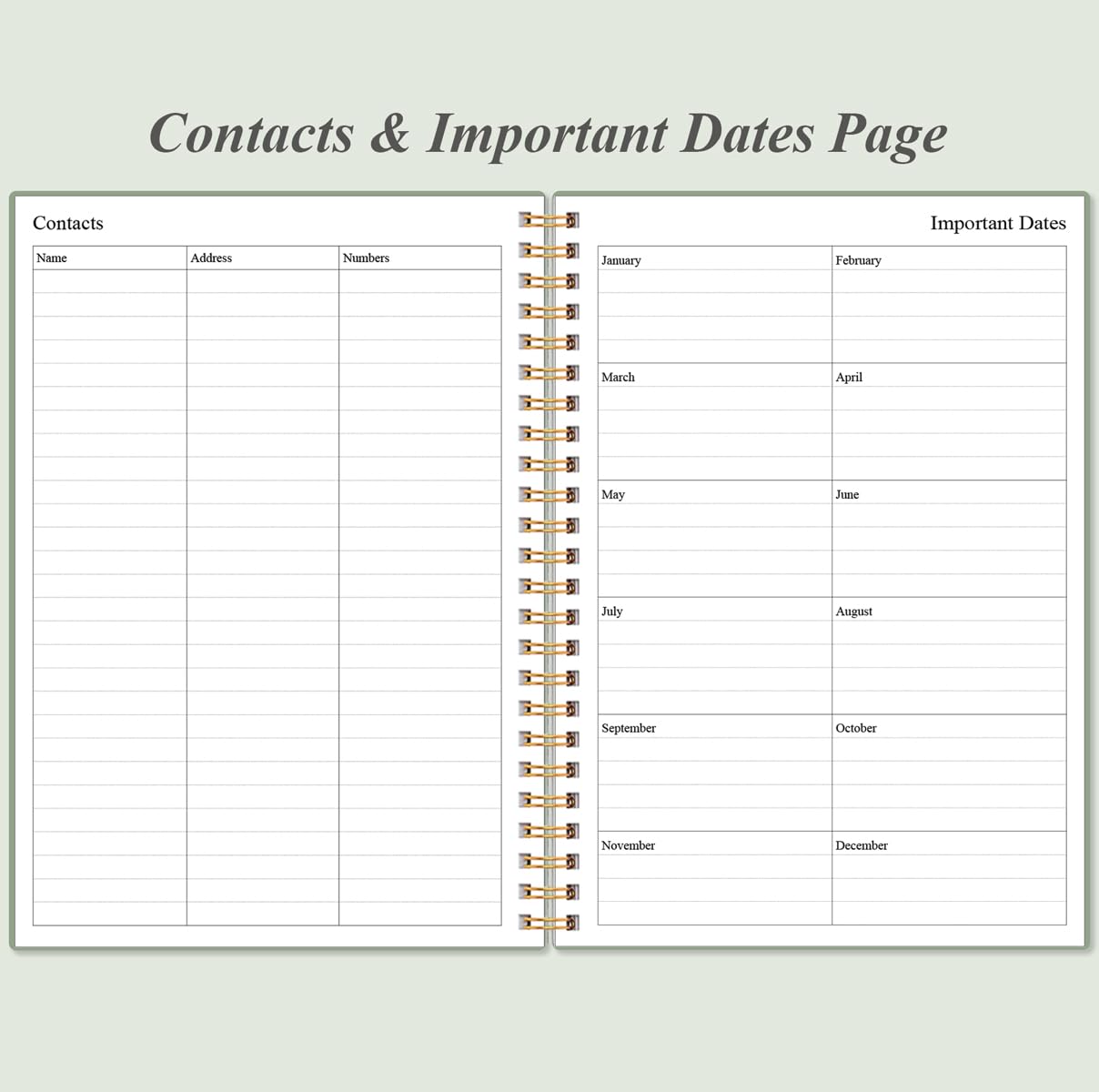 Daily Planner Undated - A5 To Do List Notebook Hourly Schedules, Spiral Appointment Planner for Women and Men, PVC Hardcover, Inner Pocket, Elastic Closure, 5.8" x 8.3", Green
