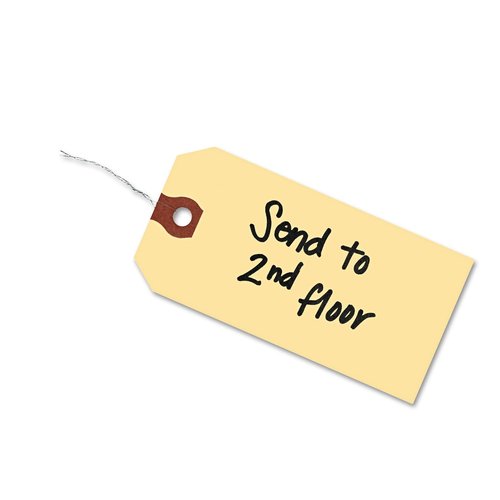 Avery Shipping Tags with Wire, 11.5 pt. Stock, 2-3/4" x 1-3/8", 1,000 Manila Hang Tags (12601)