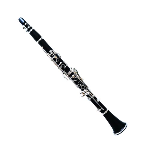 Deloitte Bb Clarinet, ABS, Nickel Plated, DCL-225, Professional Clarinet for Beginner, with Hand Case Bag and Cleaning Kit