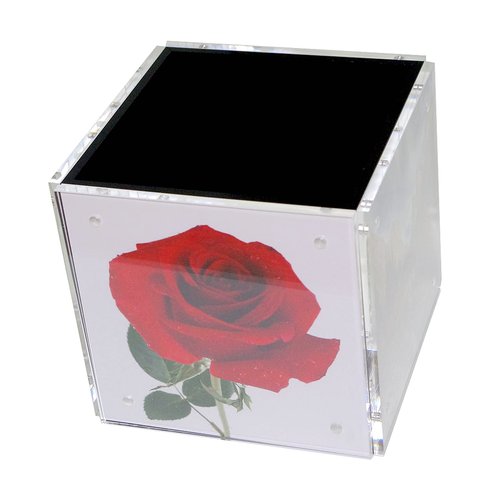 HESIN 4-side Acrylic Photo Block Cube Tabletop Pen holder Desktop Storage Organizer for Office, Classroom, Home, Kids , Picture Frame for 5" x5" photo size
