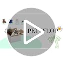 PETAFLOP 6x4x4 Shipping Boxes 50 Pack White Kraft Corrugated Mailer for Small Business