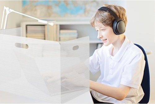 24 Pcs Desk Dividers for Students Plastic Privacy Folders Sturdy and Waterproof Test Privacy Shields Easy to Clean Classroom Test Dividers for School Teacher Student Study Supplies