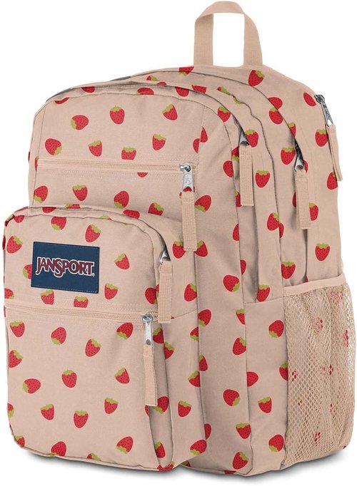 JanSport Laptop Backpack - Ergonomic Computer Bag with 2 Compartments & 15” Sleeve - Strawberry Shower