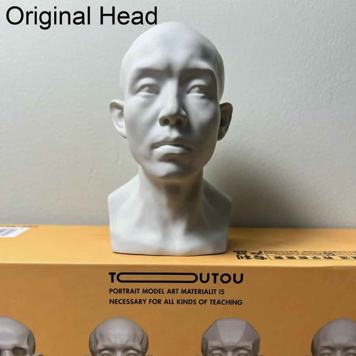 Generic 4 Pack Head Model for Drawing Reference, Artists Manikin, Skull Muscle Plane Heads Set, Color White, 13.2cm