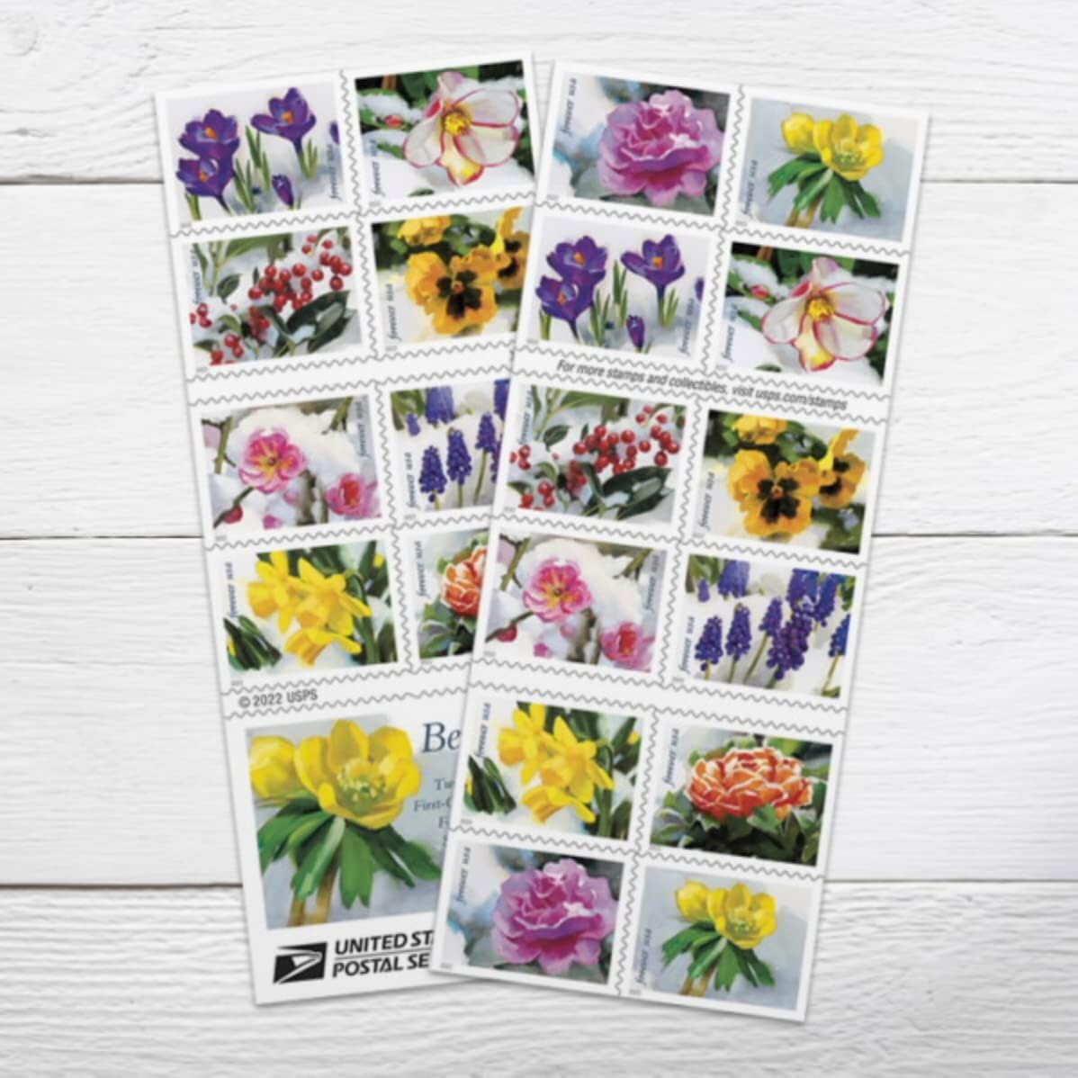 USPS Snowy Beauty Forever Stamps - 100 Self-Adhesive Postage Stamps for Weddings & Celebrations