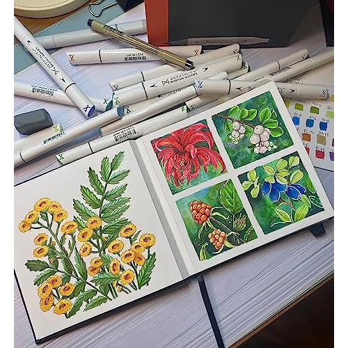 Artfinity Sketch Marker Sets - Vibrant, Professional, Dye-Based Alcohol Markers for Artists, Drawing, Students, Travel, & More! - [Assorted - Set of 24]