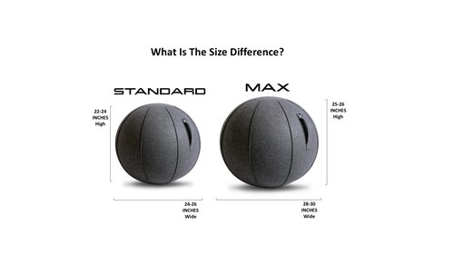 Vivora Luno Premium Ergonomic Sitting Ball Chair, Anthracite Cover, Felt, Max Size (25 to 26 inches), for Home Offices, Balance Training, Yoga Ball, Posture Improvement