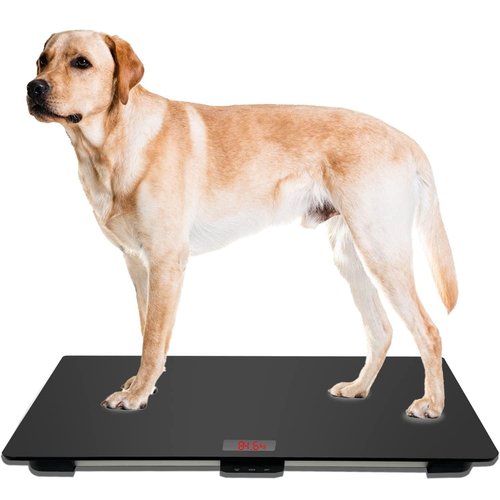 PetScale Large Dog Scale - Accurate Veterinary Platform with Non-Slip Mat | 220lbs Capacity, 31.5x19.7 Inches, Black