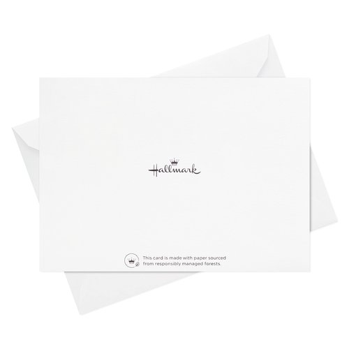 Hallmark Pack of Thank You Cards, Elegant Silver Foil (40 Thank You Notes with Envelopes)