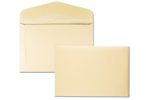 Quality Park, Document Envelopes, Gummed, Cameo Buff, 10x15, 100 per Box (54416), Large