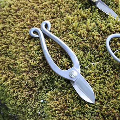 KAKURI Ikenobo Shears Japanese Flower Scissors for Fresh Flower Arranging 6.5" Professional Floral Scissors, Japanese Stainless Steel, Silver, Made in JAPAN