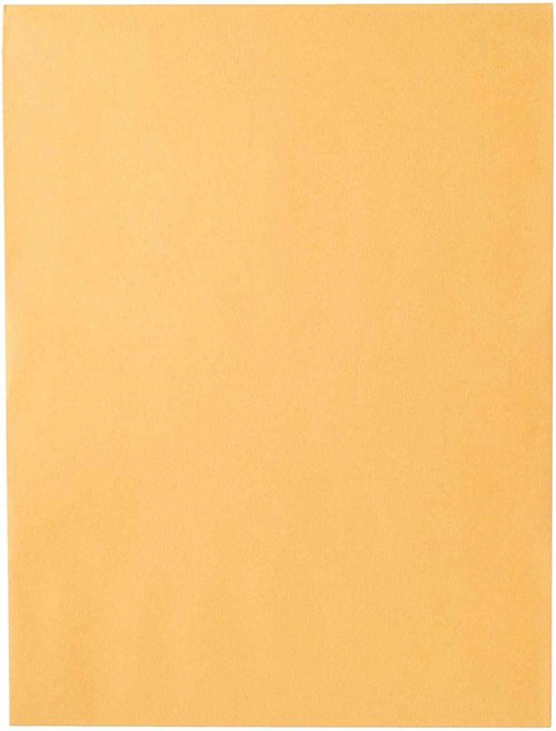 Mead Mailing Envelopes, Clasp Closure, 9" X 12", All-Purpose 24-lb Paper, Brown Kraft Material, 20 per Box (76020) (Pack of 12)
