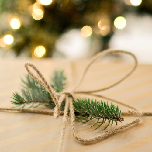 Tenn Well 5mm Jute Twine, 100 Feet Braided Natural Rope, Thick Twine for Crafts, Gift Wrapping, Gardening, Cat Tower Repair, Macrame Jute Cord