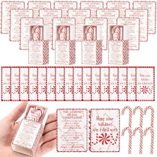 100 Sets Christmas Candy Cane Story Gifts Mini Plastic Candy Cane with the Legend of Canes Cards Christmas Stocking Stuffers Church Events Party Favors for Coworkers Teachers