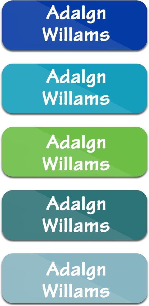 Personalized Waterproof Name Labels Custom Stickers for Books, Toys, School Supplies, Lunch Boxes Kids, Toddlers