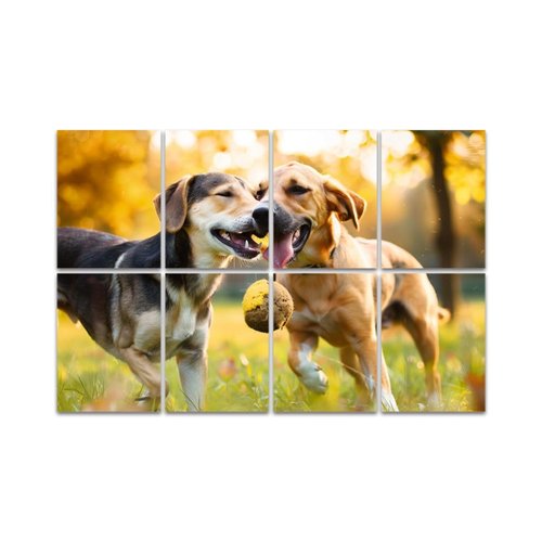 Art Acoustic Panels lovely dog portrait public park Dog Playful Playing Animals Public Acoustical Soundproof Wall Panel with Self-Adhesive Decorative Sound Absorbing Panel Acoustic Treatment
