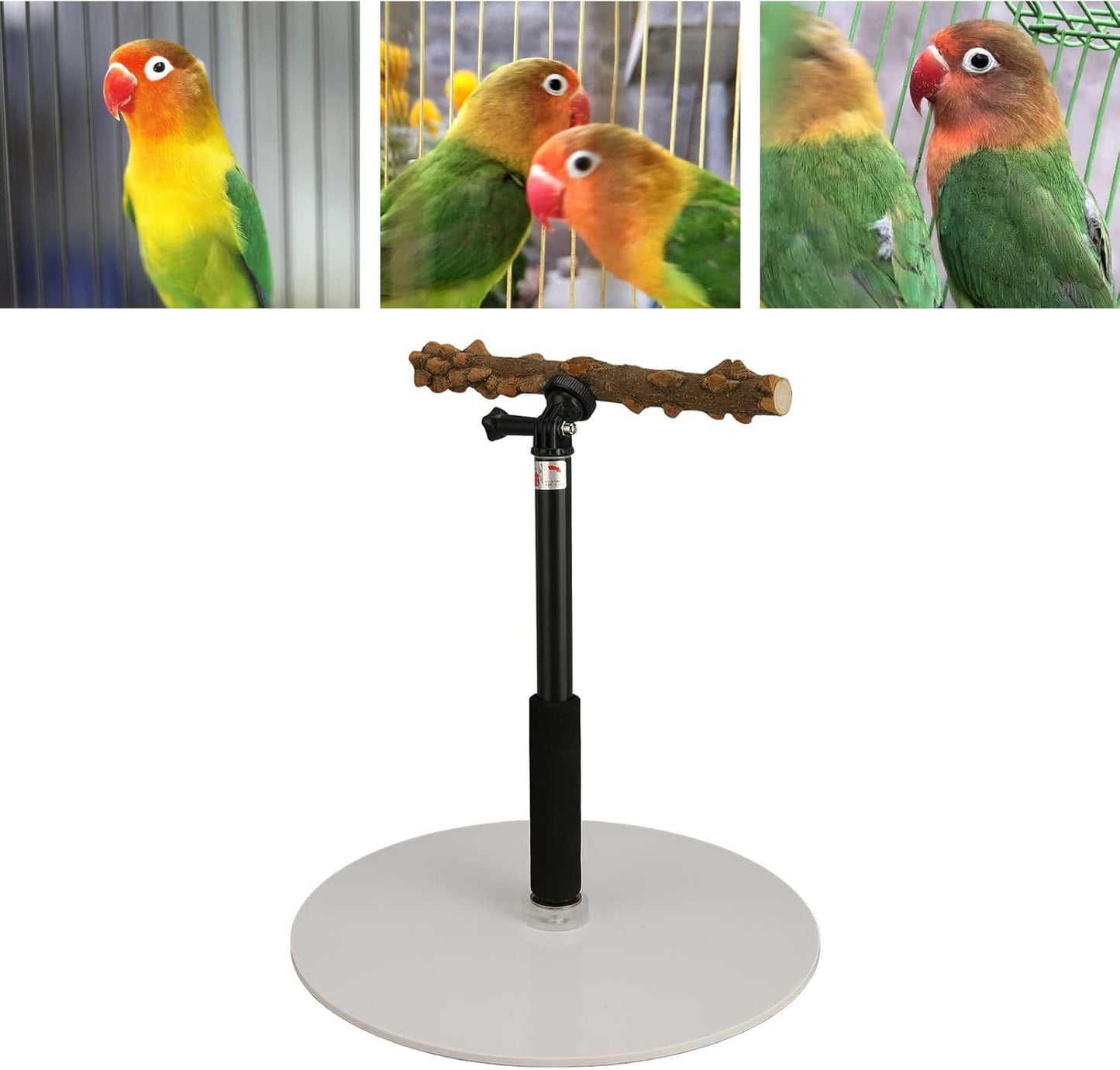 Skiennix Bird Play Stand - Portable Detachable Perch for Indoor/Outdoor Travel | Ideal for Climbing and Playing