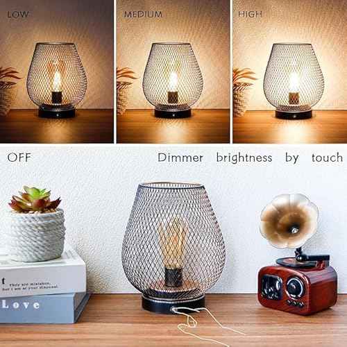 JHY DESIGN Dimmable Touch Bedside Table Lamp Set of 2 Rechargeable Battery Powered Lamp with LED Bulb Cordless Accent Lamp for Weddings Parties Patio Events Indoors Outdoors(Metal Base, Bronze Egg)