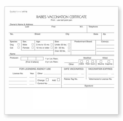 NextDayLabels - Veterinarian, 3-Part Rabies Vaccination Certificates for Cats & Dogs (100 Sets per Package)
