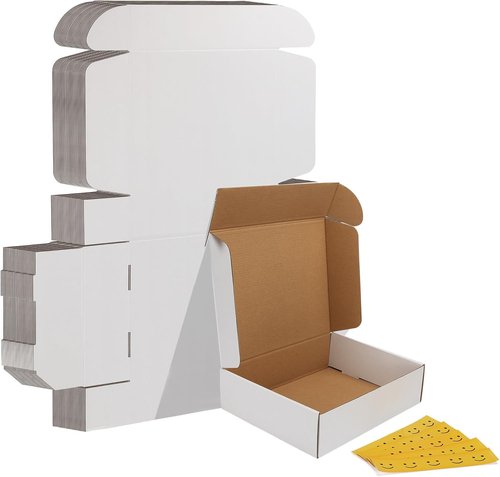HORLIMER Shipping Boxes - Set of 25 White Corrugated Cardboard Literature Mailers | 11x9x3 Inches