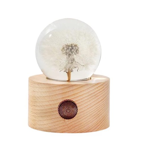 DESHINTKE Real Dandelion Specimen with Wood Round Base Paperweight Desktop Decor Decoration (Style2)