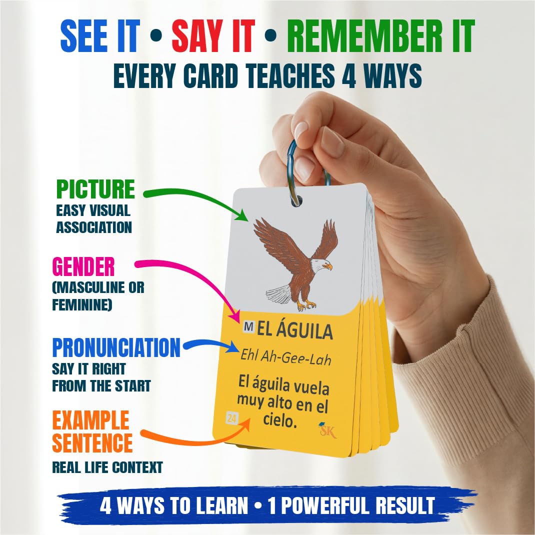 300 Bilingual English Spanish Flash Cards for Adults & Kids Ages 12+ Beginners - Noun Vocabulary with Pictures, Pronunciation, Sentences, Adult Self Study & Learn Spanish Workbooks for Adults