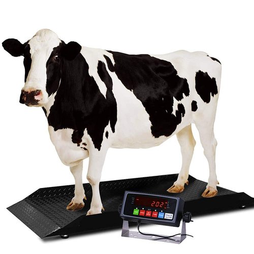 PEC Scales Large Farm Animal Scale/Digital Livestock Weighing Equipment, Capacity 4000 x 1 lb for Cattle, Horse, Goat, Cow, Alpaca, etc. (84x30)