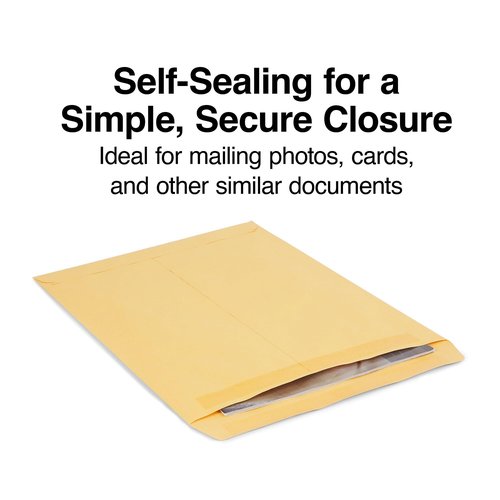 Staples 534818 Self Seal Catalog Envelopes 10-Inch L X 13-Inch H Brown 100/Bx (534818/19022)