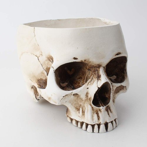 Mikayoo Skull Pen Holder Skull Makeup Brush Holder Pen Holder Dressing Table Office Desk Storage Box Green Plant Flower Pot Halloween Skull (Retro)
