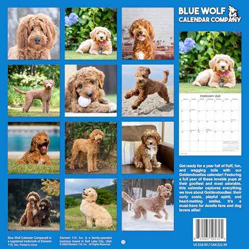 2026 Goldendoodles Monthly Wall Calendar | 12" x 24" | Dogs Calendar September 2025- December 2026