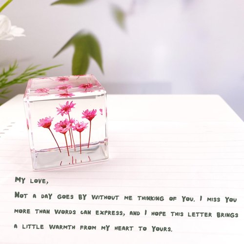 Bon Cube Desk Accessory Acrylic Resin Cube Paperweight with Decorative 3D Preserved Flowers Pink Starflowers (Resembles Daisy), 1.58'' Cube 2.9 oz, Aesthetic Desk Decor for Women and Gift for Her