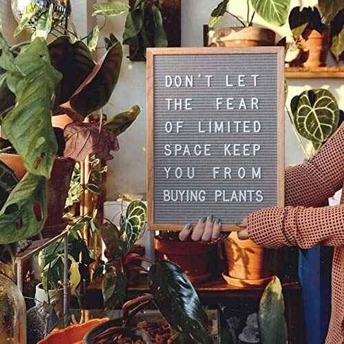 Felt Like Sharing Plastic Letter Board Letters Only (348 Pieces) ? 1¡± Letter Board Letters for Changeable Felt Letter Board ? White Letter Board Accessories ? Gift Set