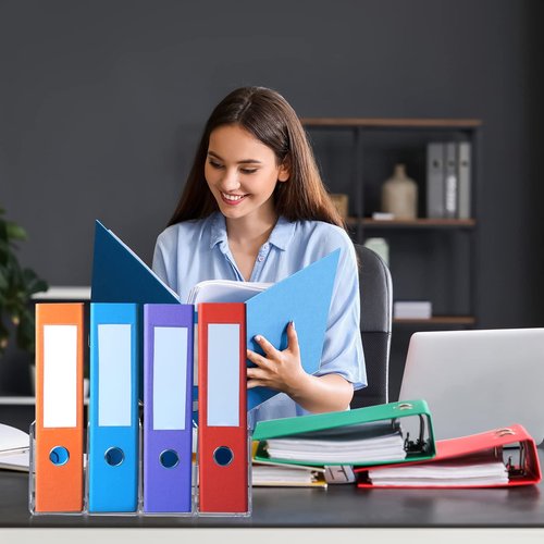AFOROEOA 4Pack 4-Section Clear Acrylic Desk File Sorter, Desktop File organizer Purse Handbag divided organizer for Book, Envelopes, Mail, Document, Notebook, Office Supplies (13x5.9x5inch)