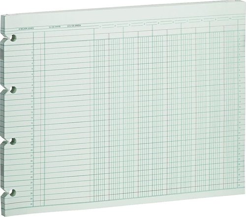 Wilson Jones G1010 Accounting Sheets, 10 Column, 9-1/4 x 11-7/8, Green (Pack of 100 Loose Sheets)