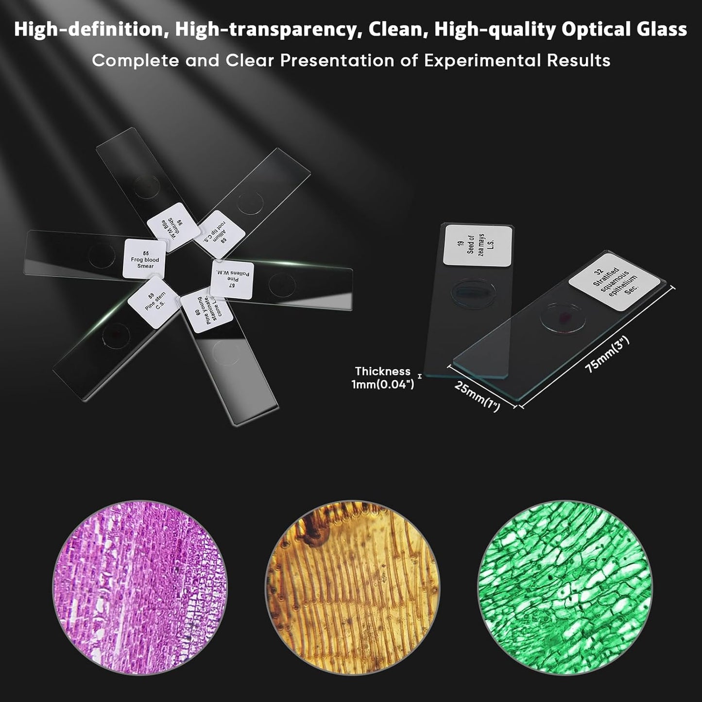 Skiennix Prepared Microscope Slides - 60 Glass Slides with Specimens for Kids' Science Classes