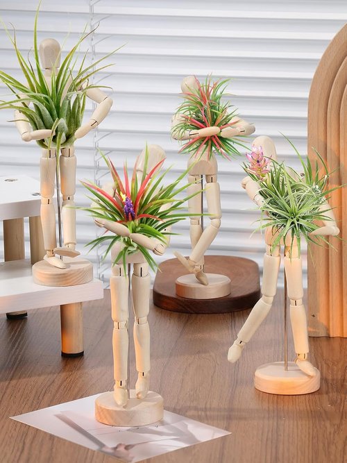 ANPHSIN Wooden Air Plant Holder - Unique 8.6'' Jointed Mannequin Stand for Tillandsia Display | Home Office Decor
