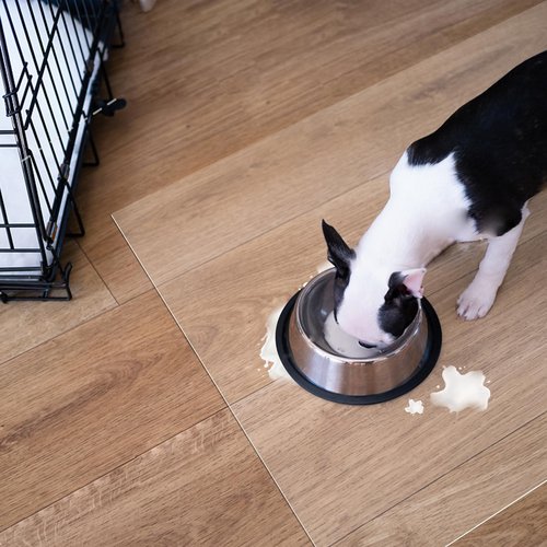 WHWM Large Clear Floor Mat 118.1" x 55.1" - Pet Flooring Protector, Clear Plastic Rug Protector, Vinyl Floor Mat - Ideal for Hardwood Floors, Home & Office Use - Waterproof and Easy to Clean